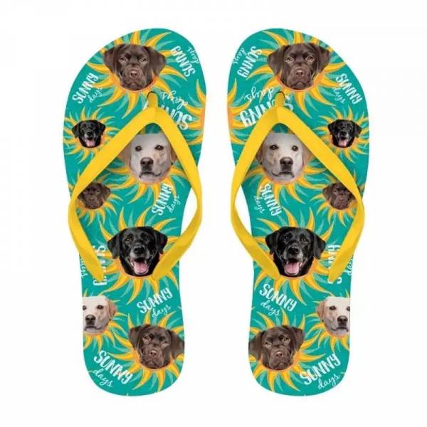 Flip Flops Labrador 37-39